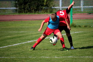 Jiuyou-足球俱乐部建设标准发布 加强青训基地建设，足球俱乐部青训招生