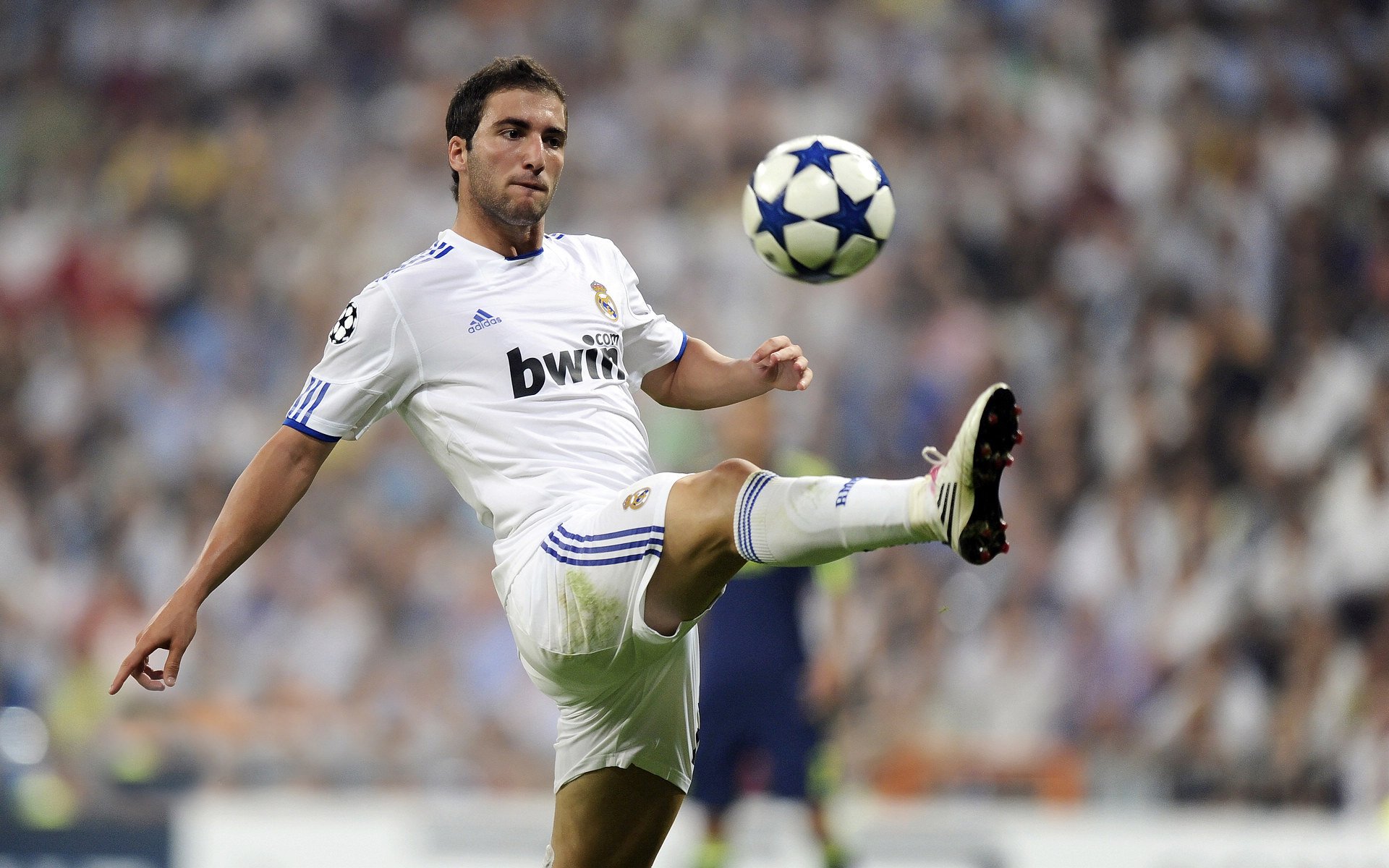 欧洲杯史诗逆转:永不放弃的足球精神,欧洲杯的魅力